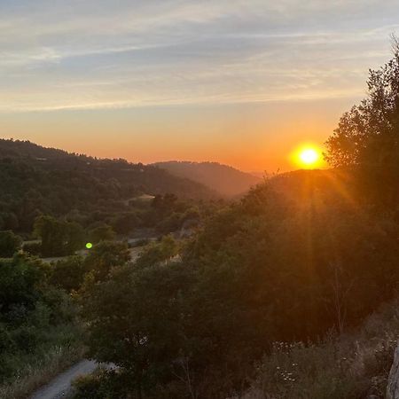Cal Talaia Διαμέρισμα La Glorieta Εξωτερικό φωτογραφία