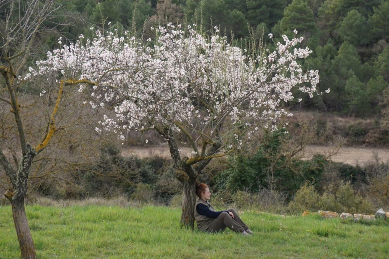 Cal Talaia Διαμέρισμα La Glorieta Εξωτερικό φωτογραφία